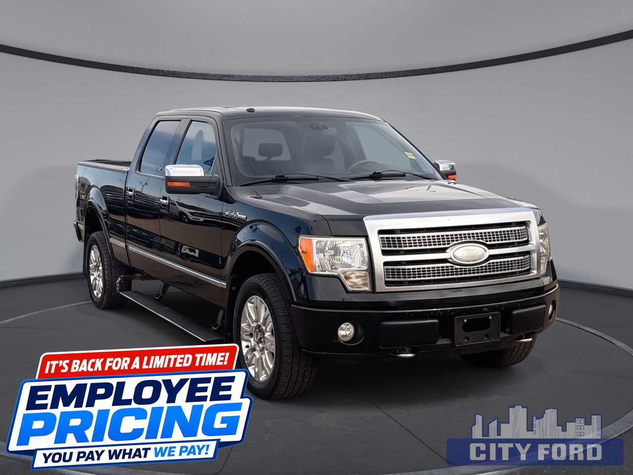 2009 Ford F-150 Platinum 4x4 SuperCrew 145"