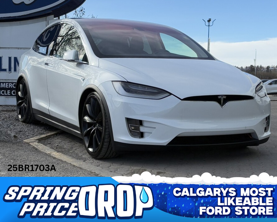 2016 Tesla Model-X 25BR1703A
