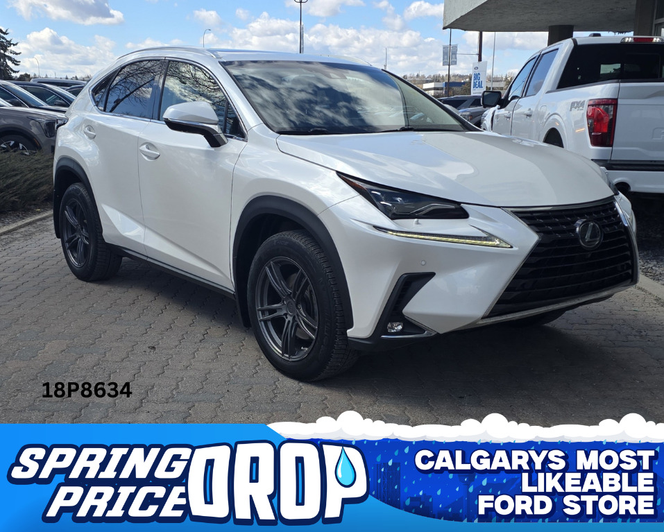 2018 Lexus NX 18P8634