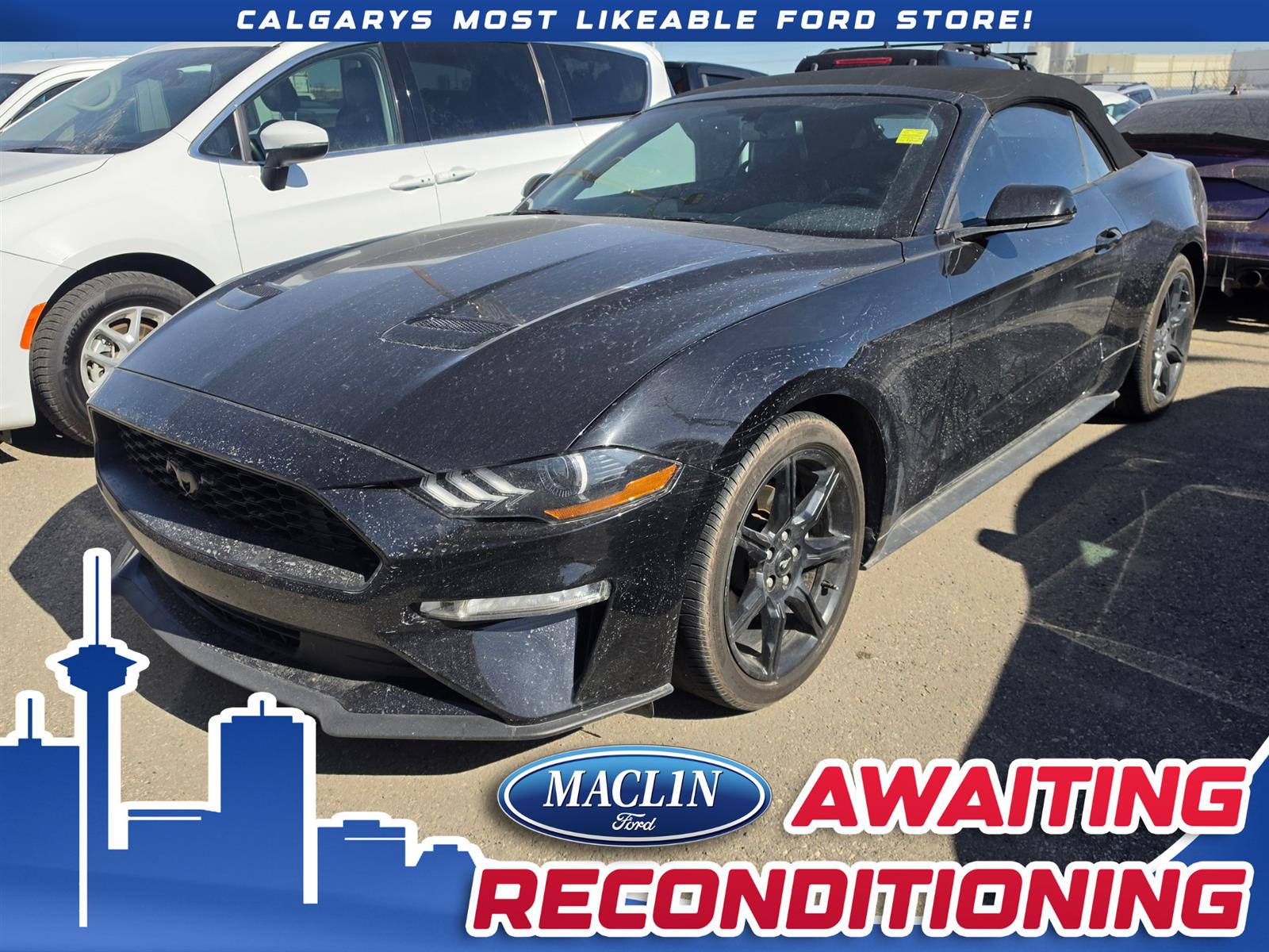 2019 Ford Mustang 26BS7812M