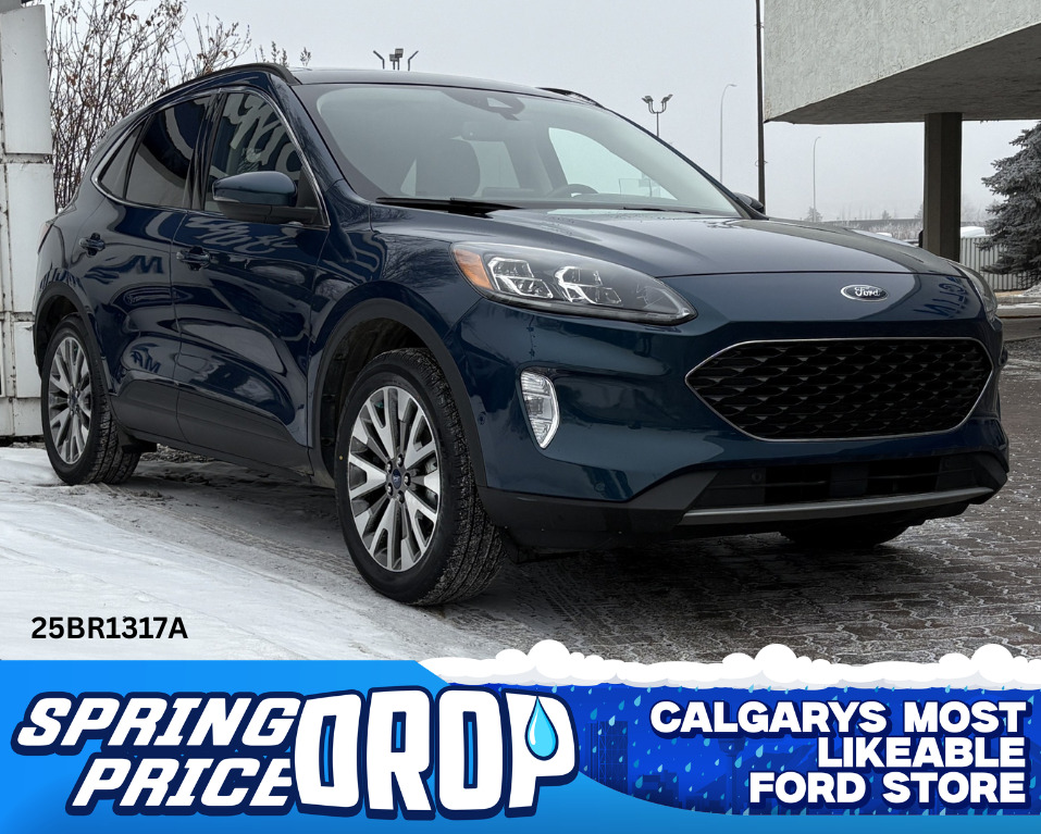 2020 Ford Escape 25BR1317A