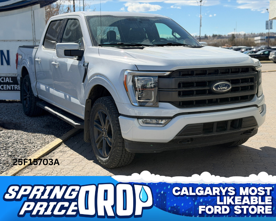 2021 Ford F-150 25F15703A