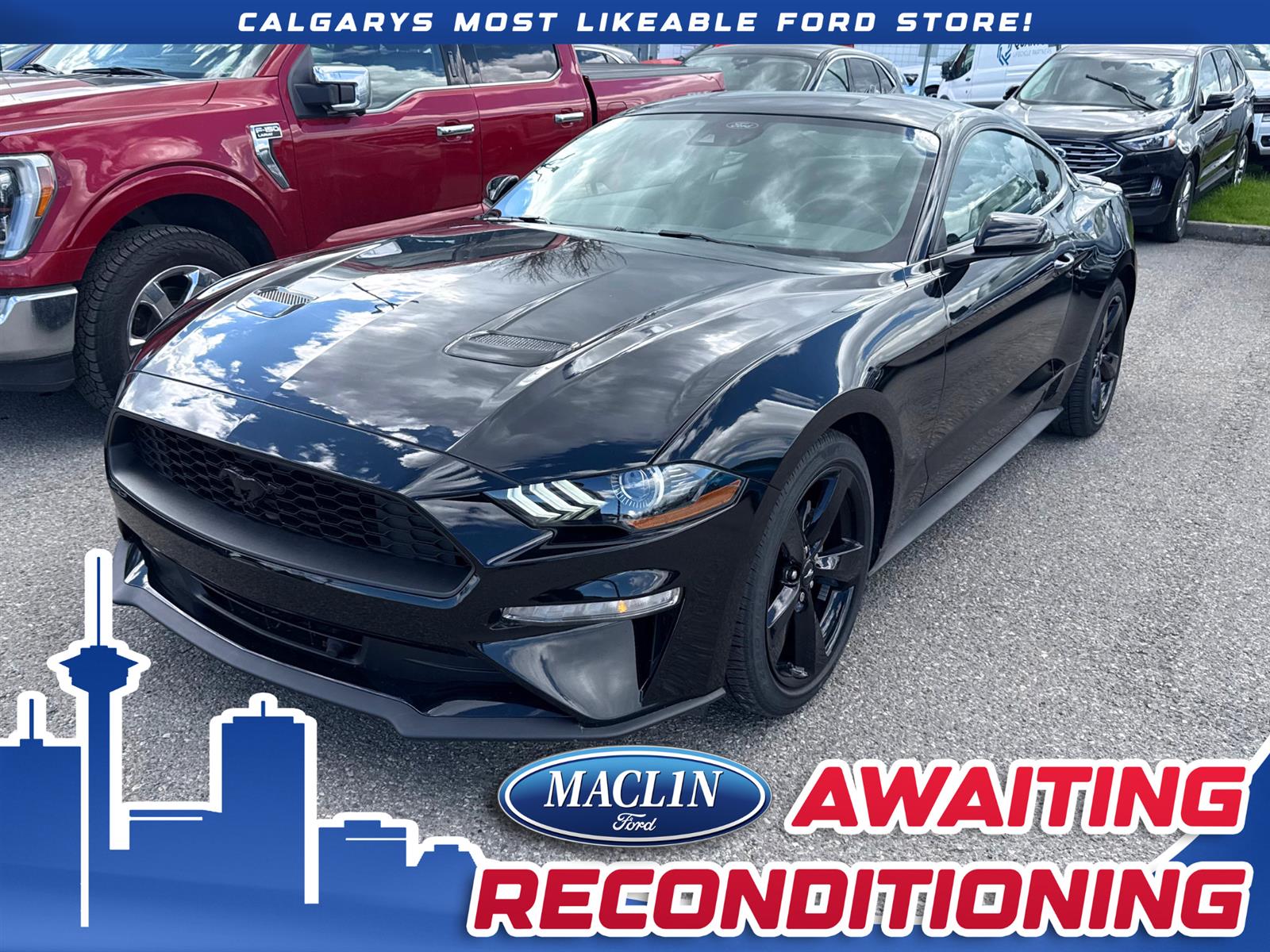 2022 Ford Mustang 22P5094