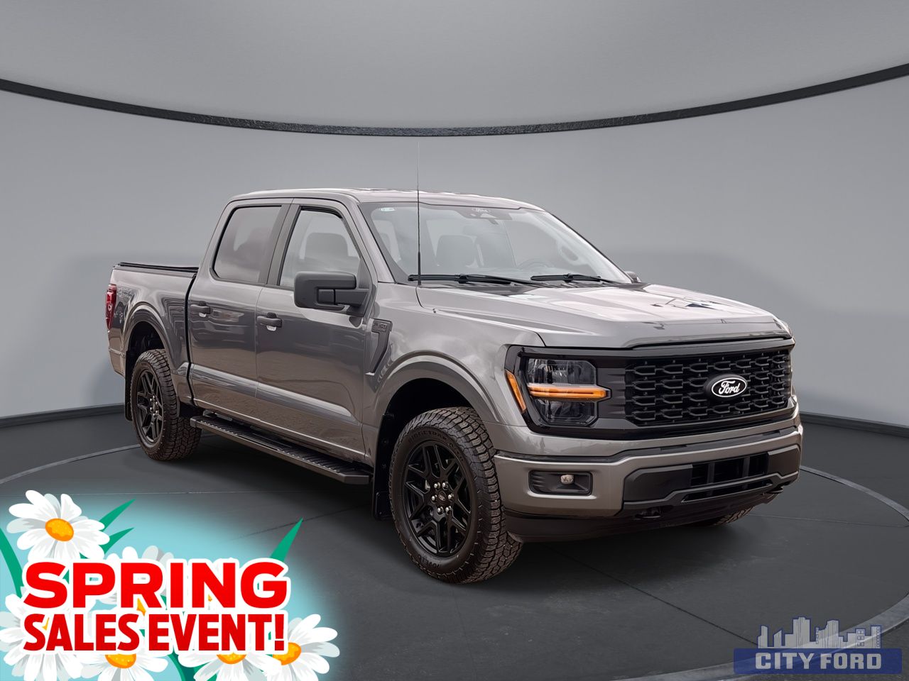 2024 Ford F-150 25F1085A