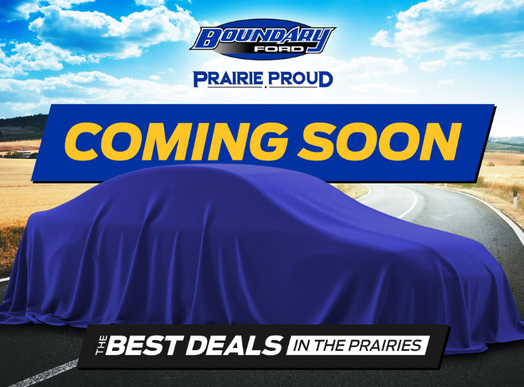 2024 Ford Mustang GT PREMIUM 5.0 | NITE PONY PKG | LOW KMS!