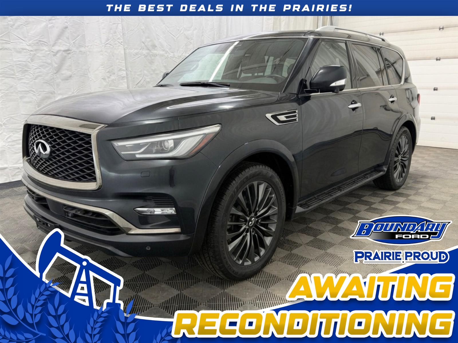 2024 Infiniti QX80 ProACTIVE