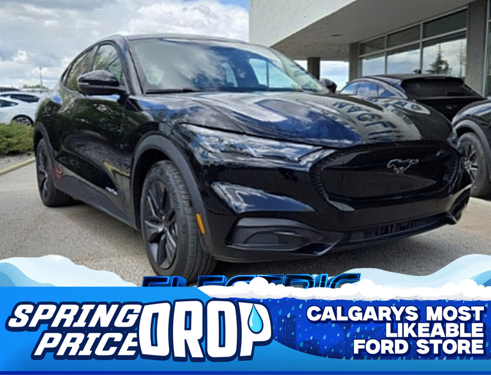 2025 Ford Mustang-Mach-E SELECT | COMFORT PACKAGE LITE | SYNC