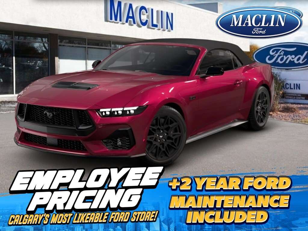 2026 Ford Mustang 401A: PERFORMANCE PACKAGE | MUSTANG NITE PONY PACK