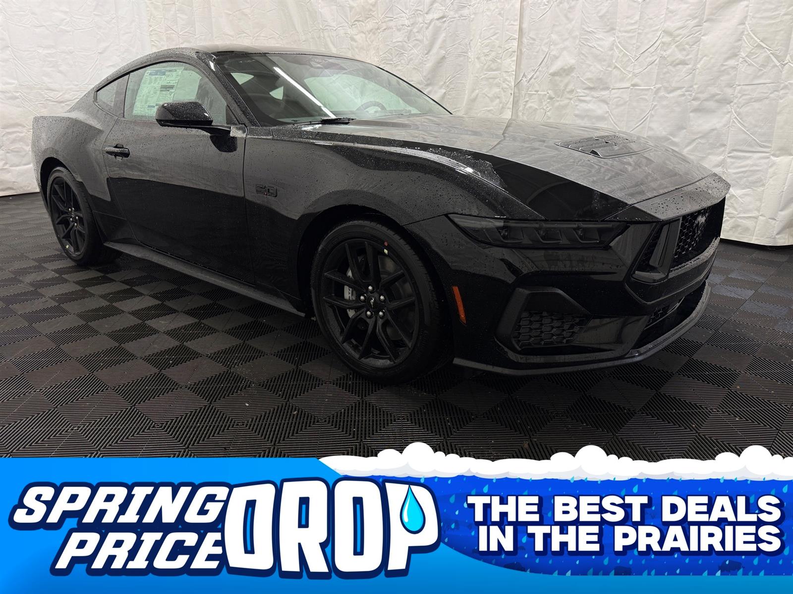 2026 Ford Mustang GT | MUSTANG NITE PONY PACKAGE | SYNC 4